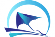 爱山东·潍事通app下载 - 一站式生活服务平台