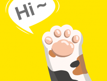 猫语交流翻译器app下载