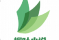 柳叶小说下载：专业追书，超全小说资源，随时随地阅读