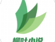 柳叶小说下载：专业追书，超全小说资源，随时随地阅读