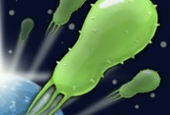 基因密码游戏下载：体验休闲益智与生命奇迹的融合