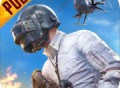 绝地求生PUBG国际服下载 - 动作射击游戏下载并安装