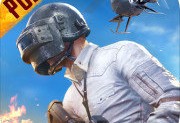 绝地求生PUBG国际服下载 - 动作射击游戏下载并安装
