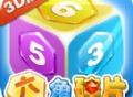 下载并安装《六角碎片3D》游戏版本，休闲益智的消除游戏