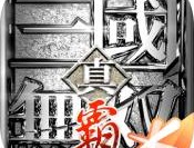 真三国无双霸iOS版下载 - 强者手游平台