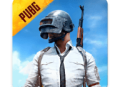 pubgmobilelite下载：动作射击游戏，多人在线战斗体验