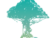 树兰医生端下载 - 专业的移动医疗问诊应用体验