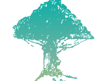 树兰医生端下载 - 专业的移动医疗问诊应用体验