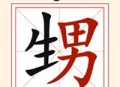疯狂文字派对游戏下载：体验汉字魅力与闯关乐趣