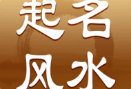 八字运势占卜风行者app下载体验专业的运势测算功能