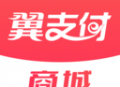 翼支付：数字化生活服务平台，全方位支付解决方案