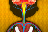 探秘人体运行之旅（下载版）