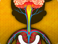 探秘人体运行之旅（下载版）