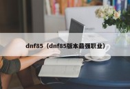 dnf85（dnf85版本最强职业）