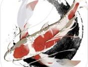 洄溯沙棠手游官方下载：体验古风灵鱼养成之旅