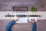 白狐狸dnf（白狐狸尾巴三角梅勤花么）