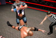 下载《摔跤战斗巨变3D中文版》游戏，体验真实摔跤竞技
