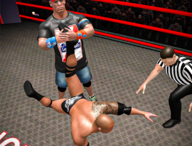 下载《摔跤战斗巨变3D中文版》游戏，体验真实摔跤竞技