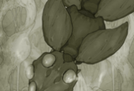 原始旅程手机版下载_Android飞行射击游戏