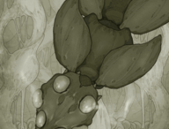 原始旅程手机版下载_Android飞行射击游戏