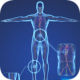 三维模型体谱app下载：探索人体结构的奥秘