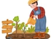 花草时光 红包版下载，体验精美红包游戏