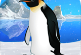 《企鹅育成》游戏下载与体验：治愈系的虚拟企鹅养成之旅