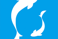 小灵鱼清理手机版下载：安卓优化工具