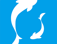 小灵鱼清理手机版下载：安卓优化工具