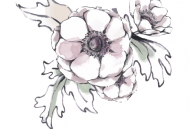 花田小憩app - 探索美学生活方式