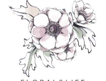 花田小憩app - 探索美学生活方式