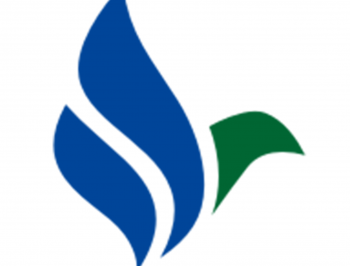 乐鸟云119app安卓版下载：实时数据监控与分析，商务办公新选择