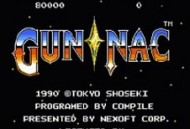 加纳战机中文版安卓版免费下载