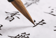 练字书法大师App：专业手机书法学习平台 - 下载专区