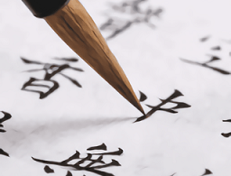 练字书法大师App：专业手机书法学习平台 - 下载专区