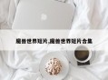 魔兽世界短片,魔兽世界短片合集