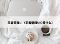 王者荣耀ui（王者荣耀UID是什么）