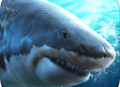 真实模拟鲨鱼捕食游戏下载安卓版