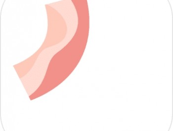 「培根配万物」安卓休闲益智游戏，无需实名认证下载体验