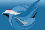 临沂城管市民通app下载 - 城市生活服务平台