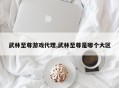 武林至尊游戏代理,武林至尊是哪个大区