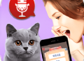 猫猫心声下载 - 猫语翻译器app下载体验