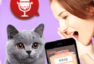 猫猫心声下载 - 猫语翻译器app下载体验