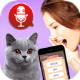 猫猫心声下载 - 猫语翻译器app下载体验