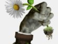 植物大战僵尸中国馆内置菜单下载攻略