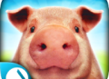 PigSimulator手游下载：体验休闲养猪乐趣