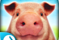 PigSimulator手游下载：体验休闲养猪乐趣