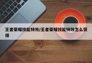王者荣耀技能特效/王者荣耀技能特效怎么获得