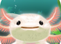 《治愈的蝾螈》安卓版下载：轻松愉悦的休闲益智游戏