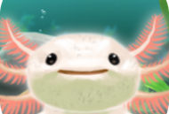 《治愈的蝾螈》安卓版下载：轻松愉悦的休闲益智游戏